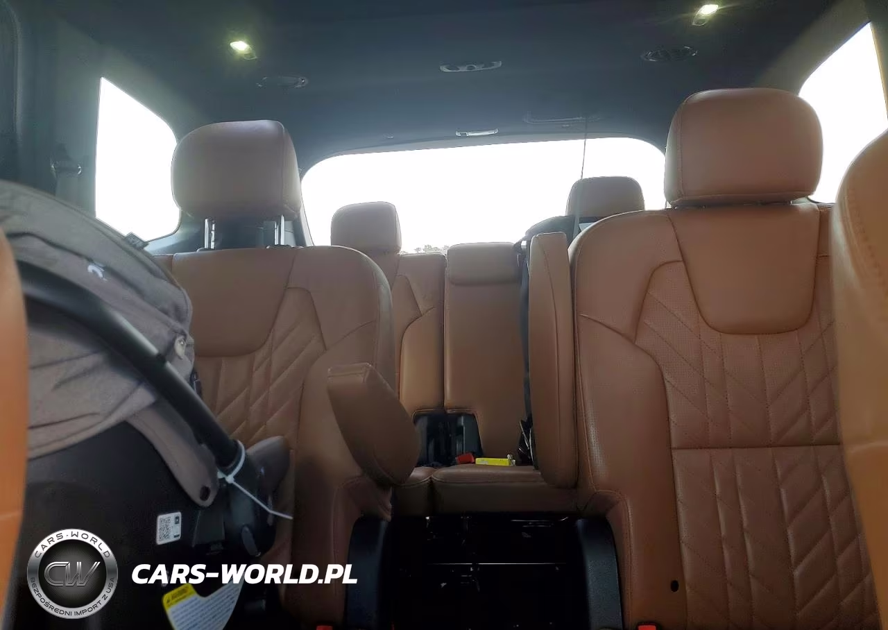 2024 Kia Telluride Sx X-Pro VIN:5XYP5DGC8RG453636 - 10