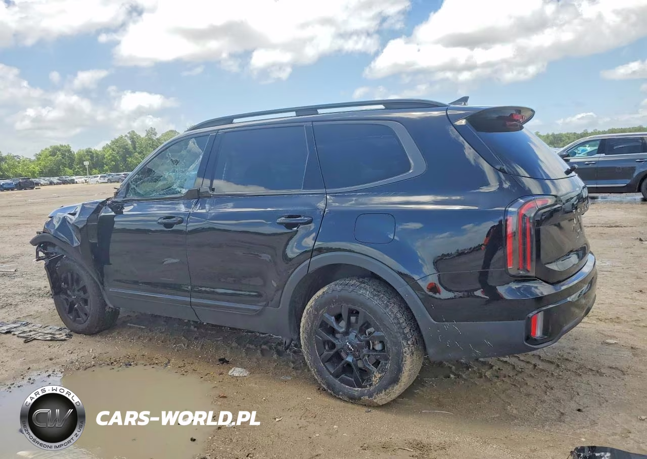 2024 Kia Telluride Sx X-Pro VIN:5XYP5DGC8RG453636 - 2