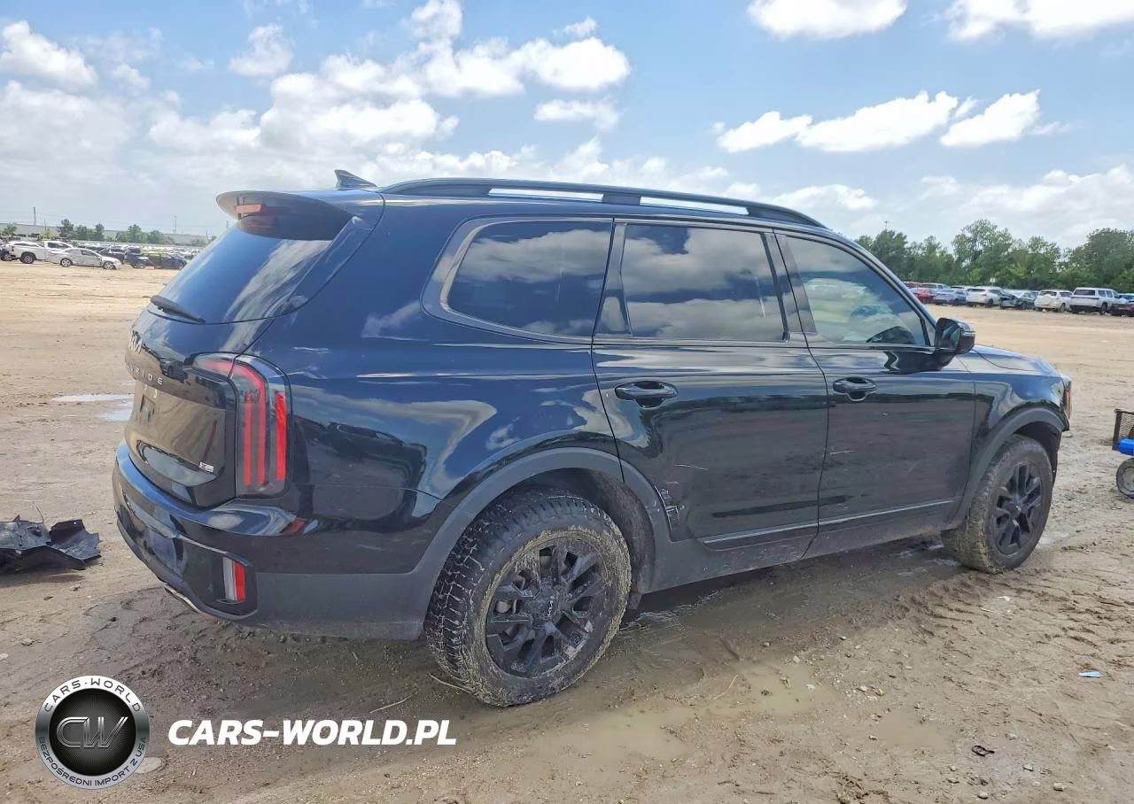 2024 Kia Telluride Sx X-Pro VIN:5XYP5DGC8RG453636 - 3