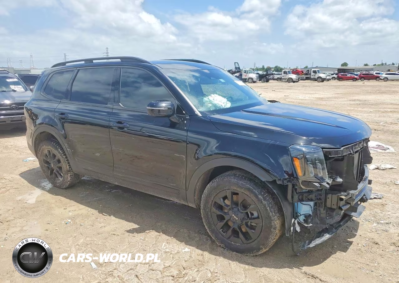 2024 Kia Telluride Sx X-Pro VIN:5XYP5DGC8RG453636 - 4