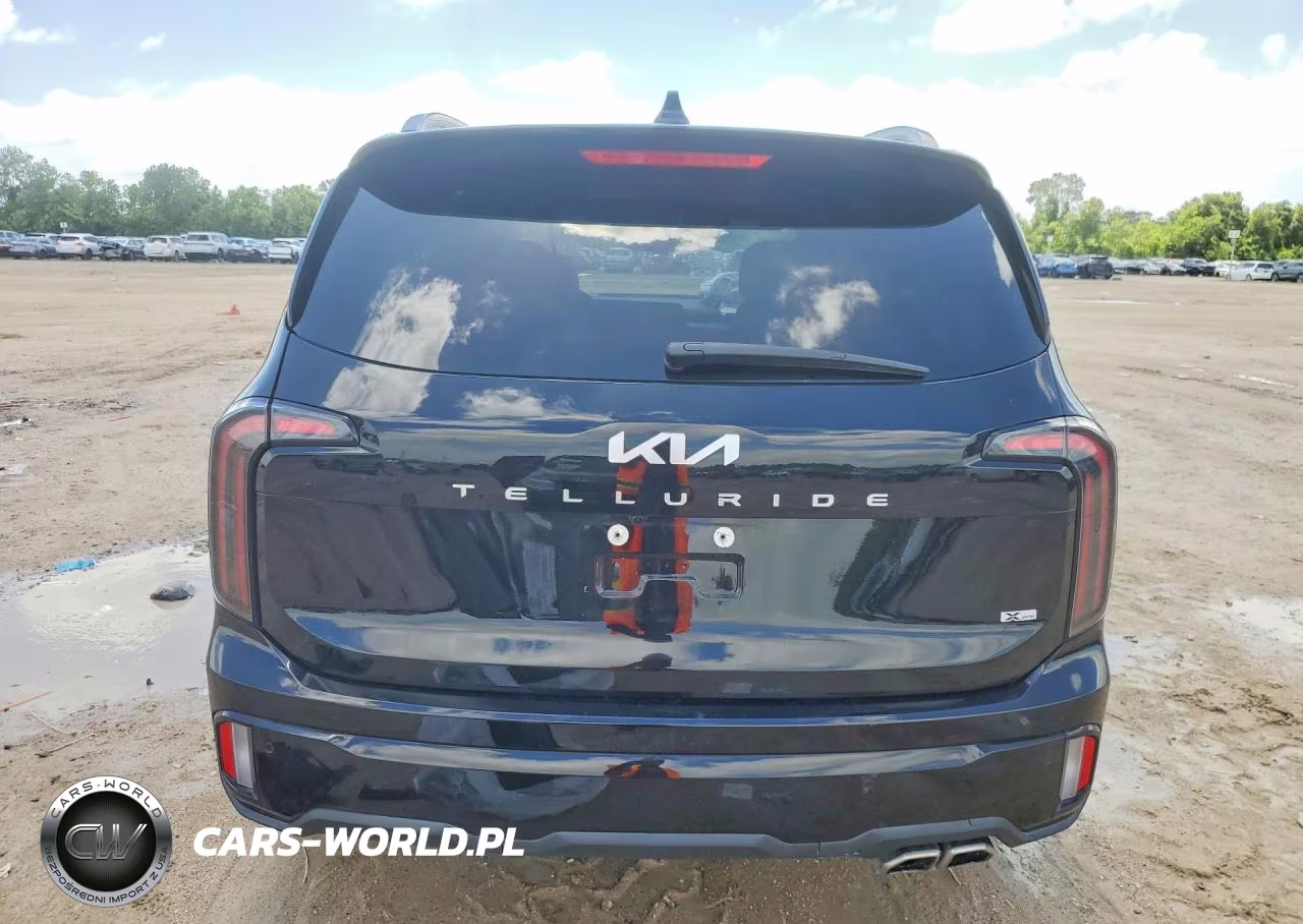 2024 Kia Telluride Sx X-Pro VIN:5XYP5DGC8RG453636 - 6
