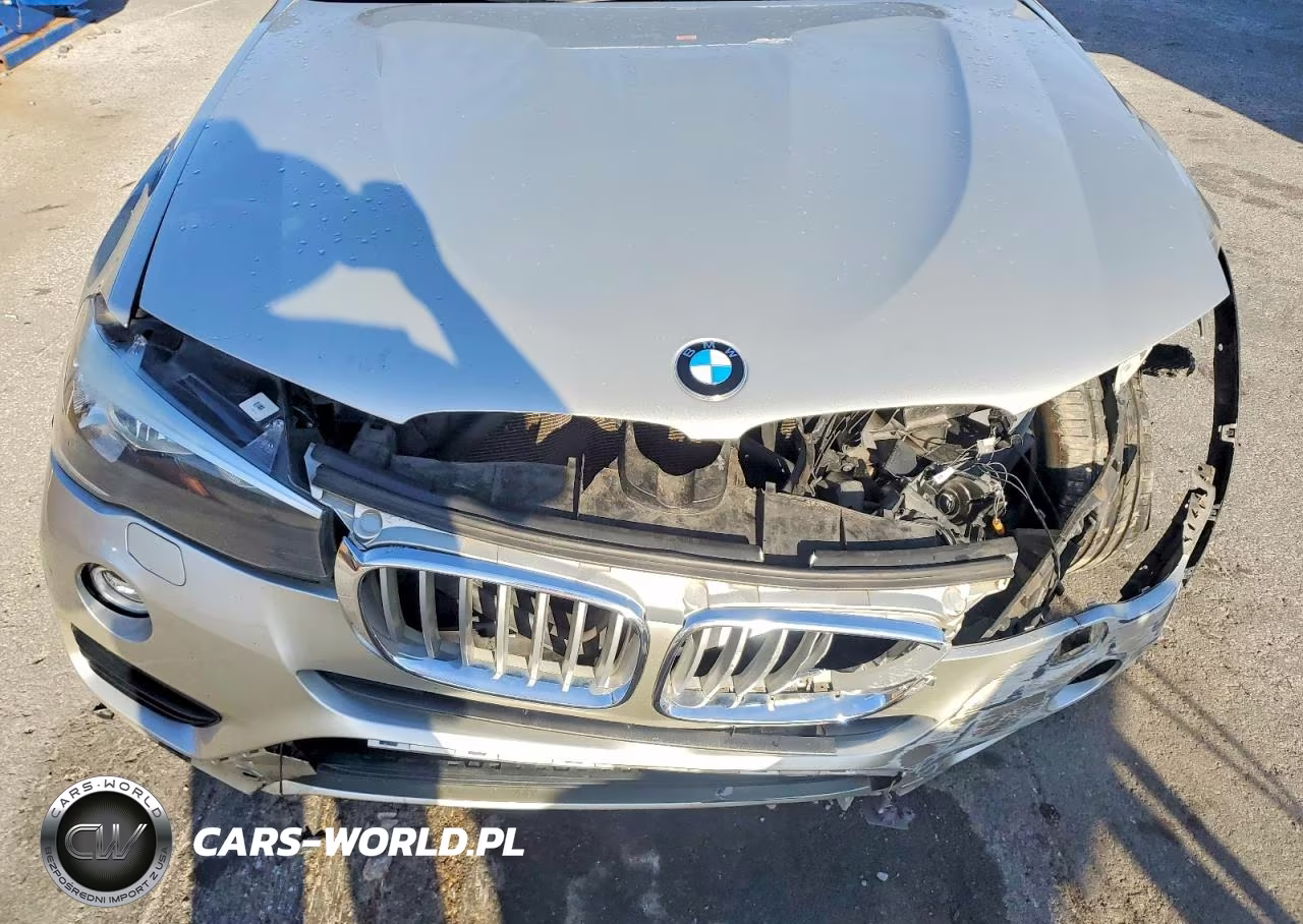 2016 BMW X3 Sdrive28I VIN:5UXWZ7C59G0R32349 - 12