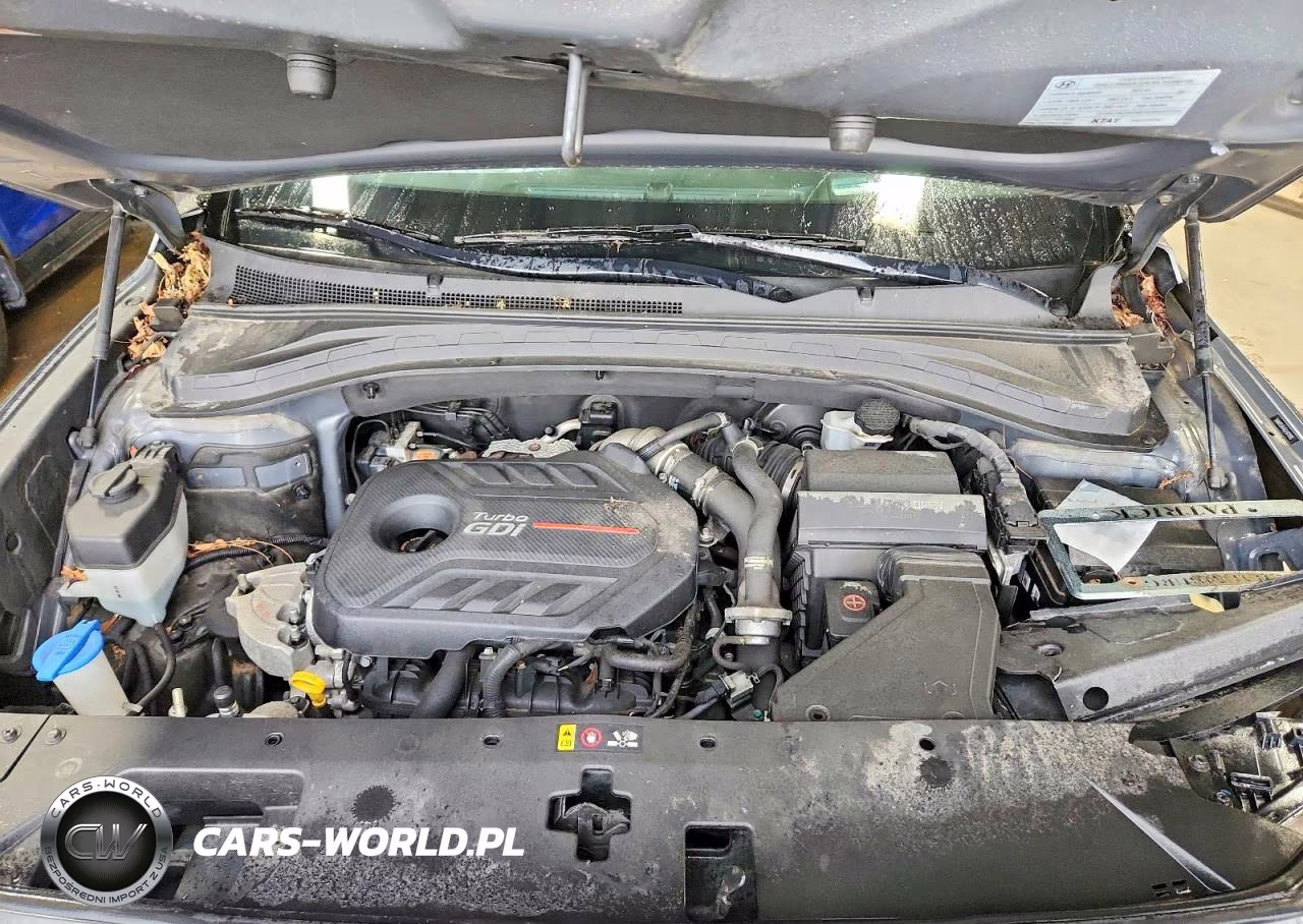 2020 Hyundai Santa Fe Limited 2.0T VIN:5NMS53AA5LH177005 - 11