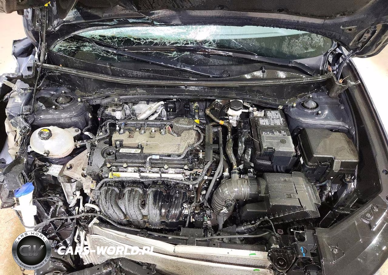 2024 Hyundai Tucson Sel VIN:5NMJB3DE5RH298659 - 12