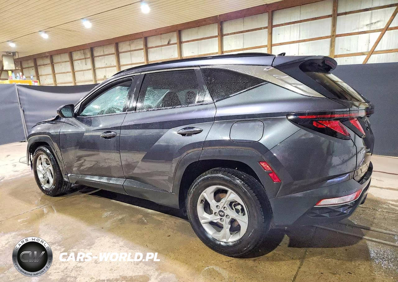2024 Hyundai Tucson Sel VIN:5NMJB3DE5RH298659 - 2