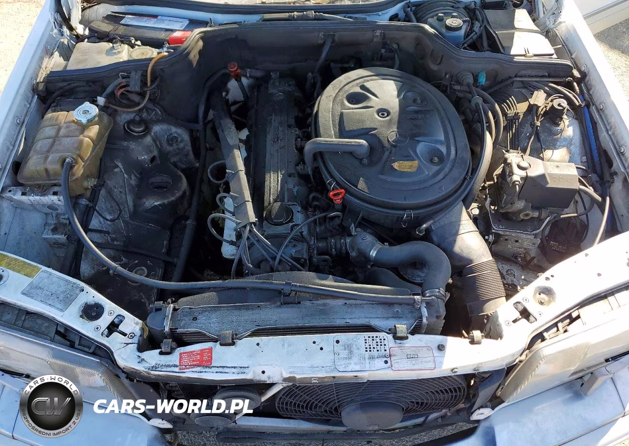 1989 Mercedes-Benz 300 Se VIN:WDBCA24D6KA449942 - 11