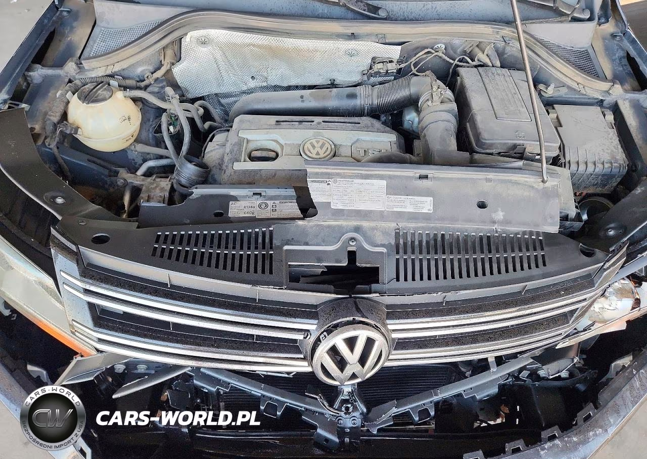 2012 Volkswagen Tiguan S VIN:WVGAV7AX9CW560722 - 12