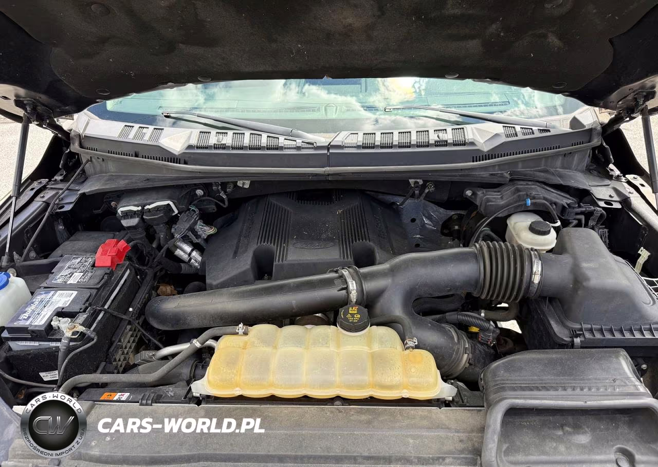 2019 Ford F150 Supercrew VIN:1FTEW1E46KFD23975 - 7