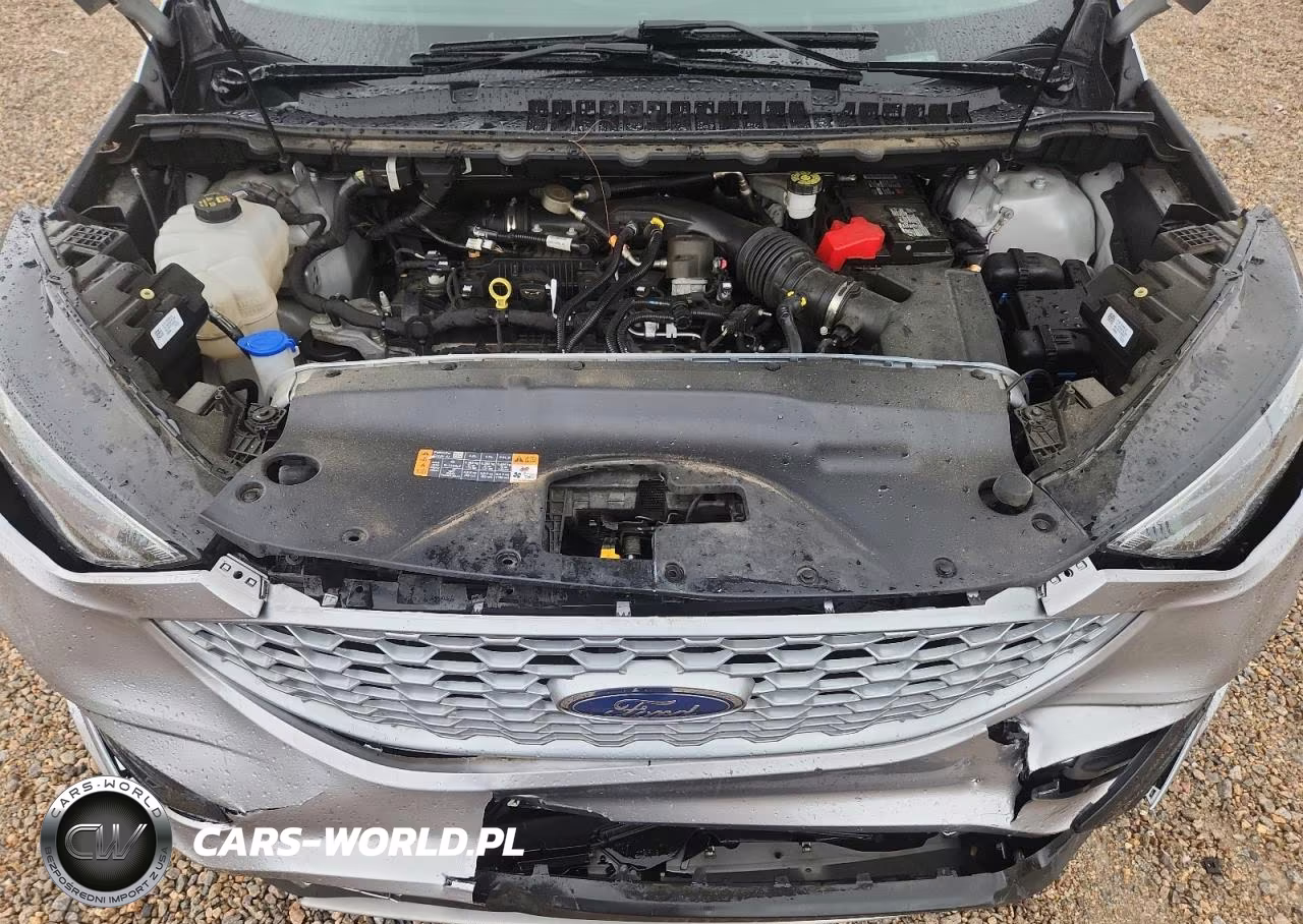 2024 Ford Edge Sel VIN:2FMPK4J90RBA48442 - 11