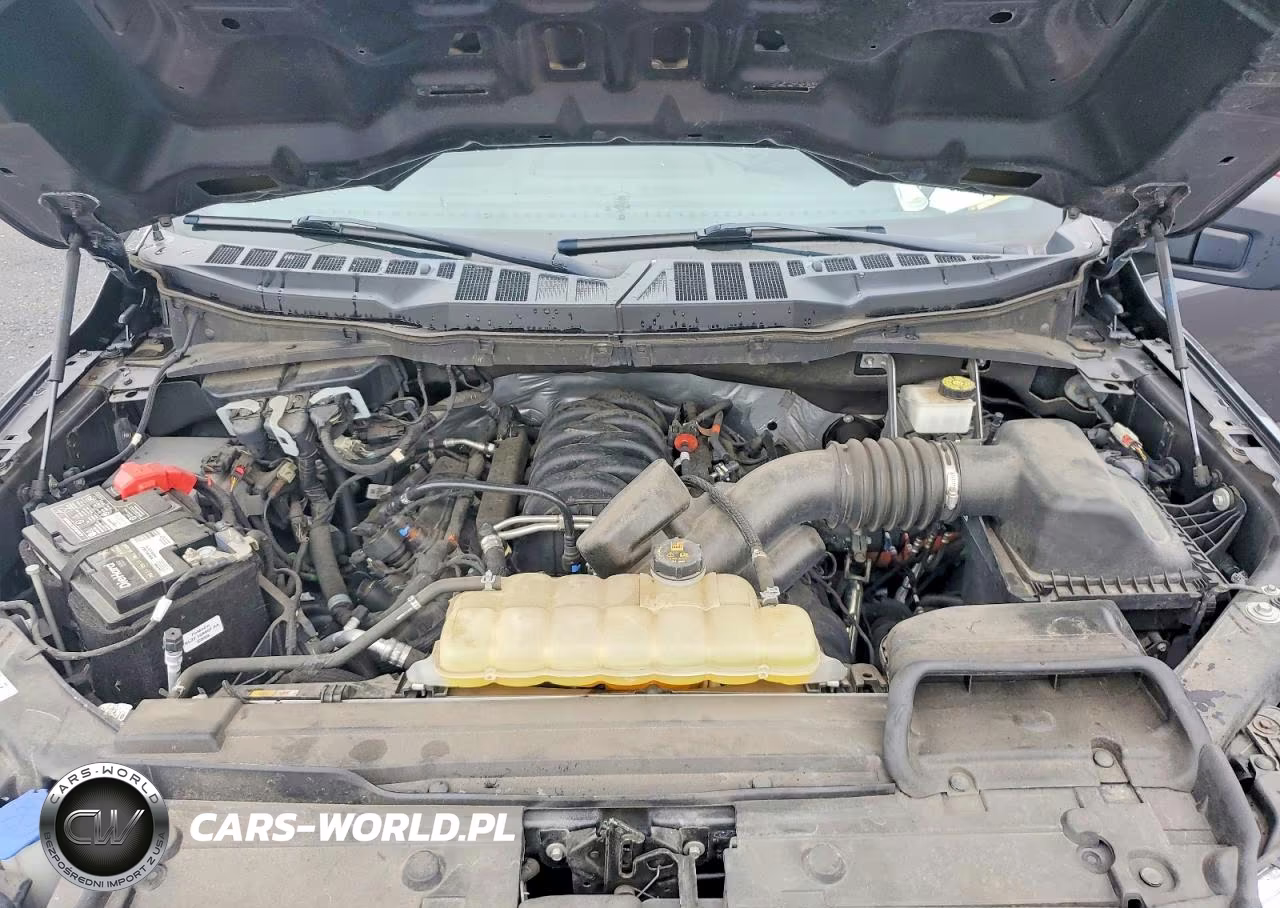 2021 Ford F150 Supercrew VIN:1FTFW1E53MFB24737 - 11