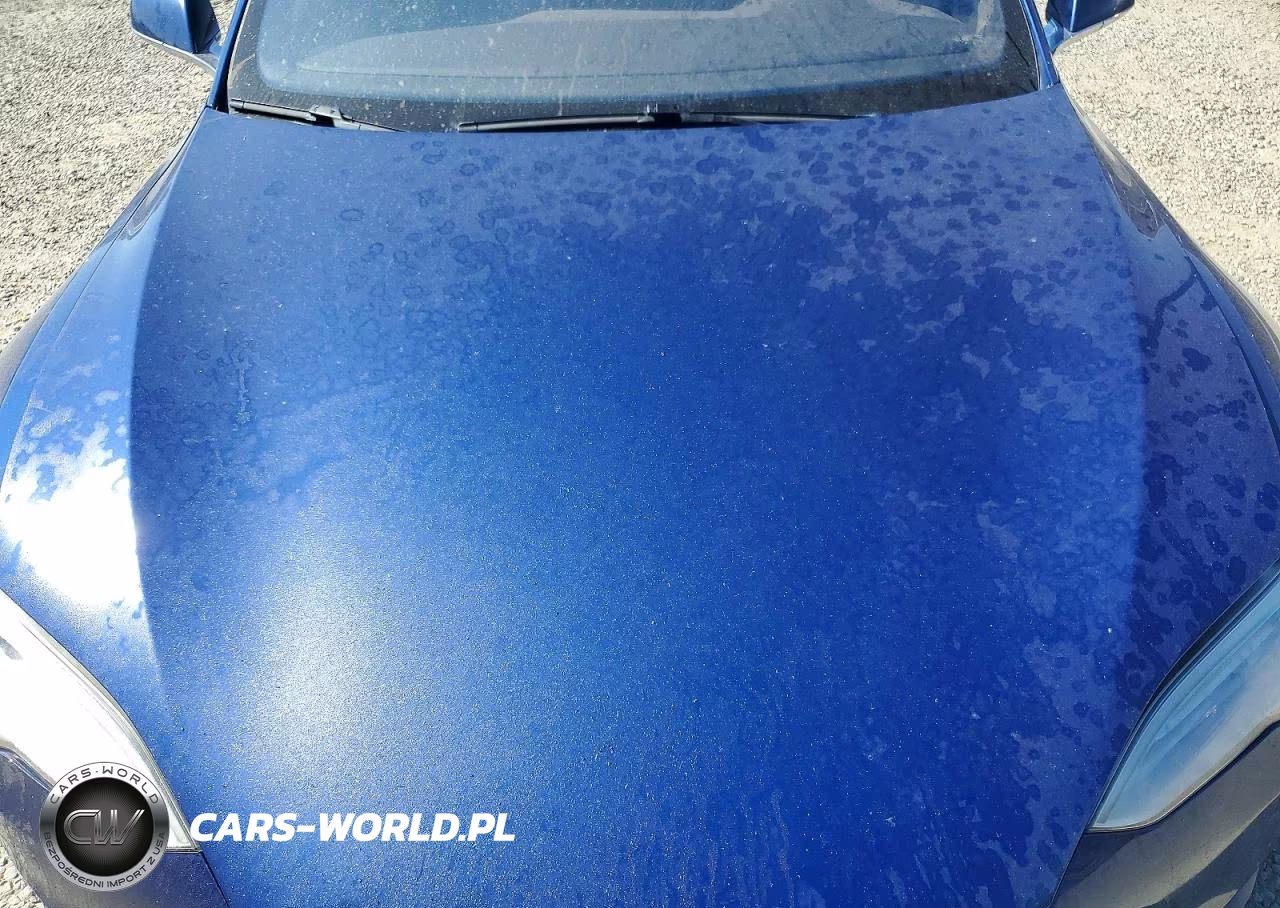 2016 Tesla Model S VIN:5YJSA1E22GF136812 - 11