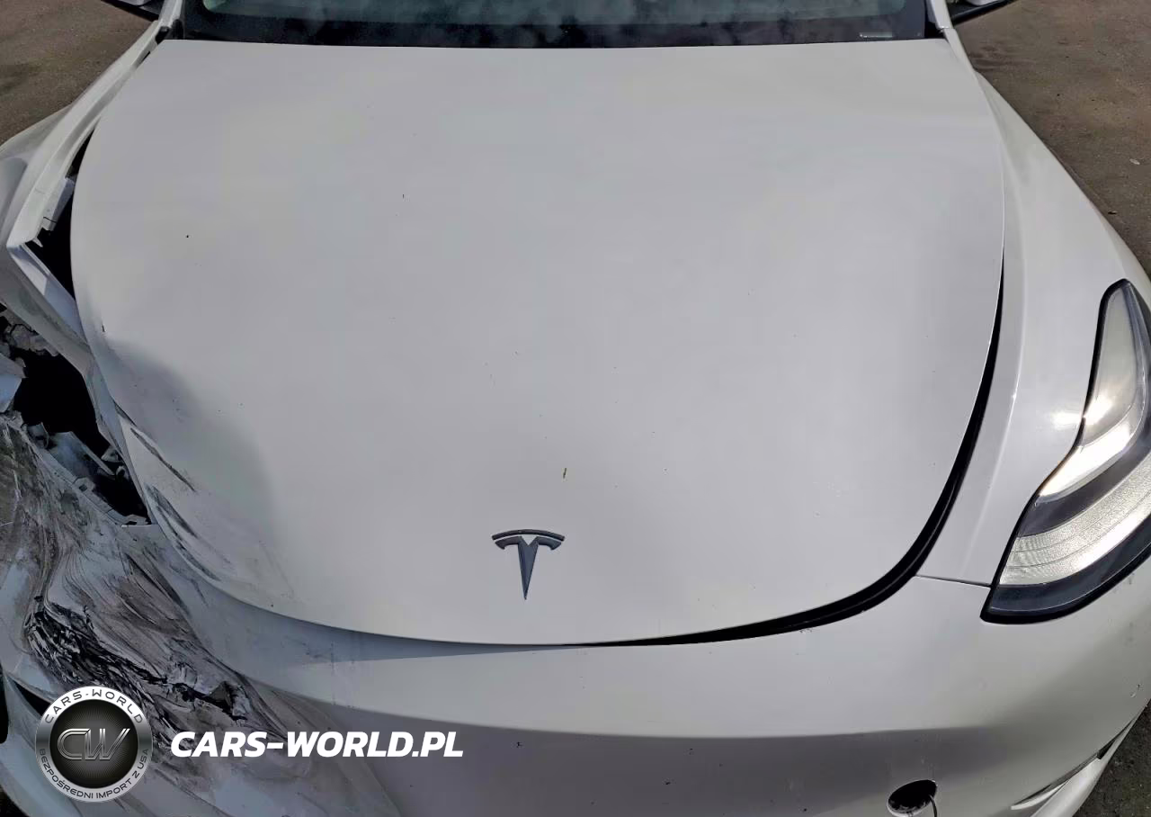 2022 Tesla Model Y VIN:7SAYGDEE9NF385581 - 11