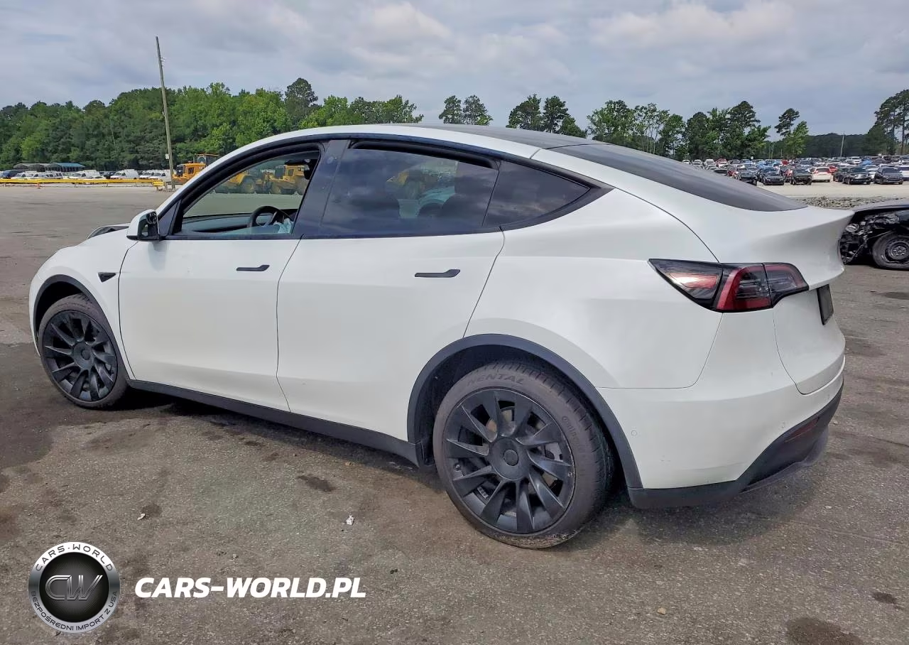 2022 Tesla Model Y VIN:7SAYGDEE9NF385581 - 2