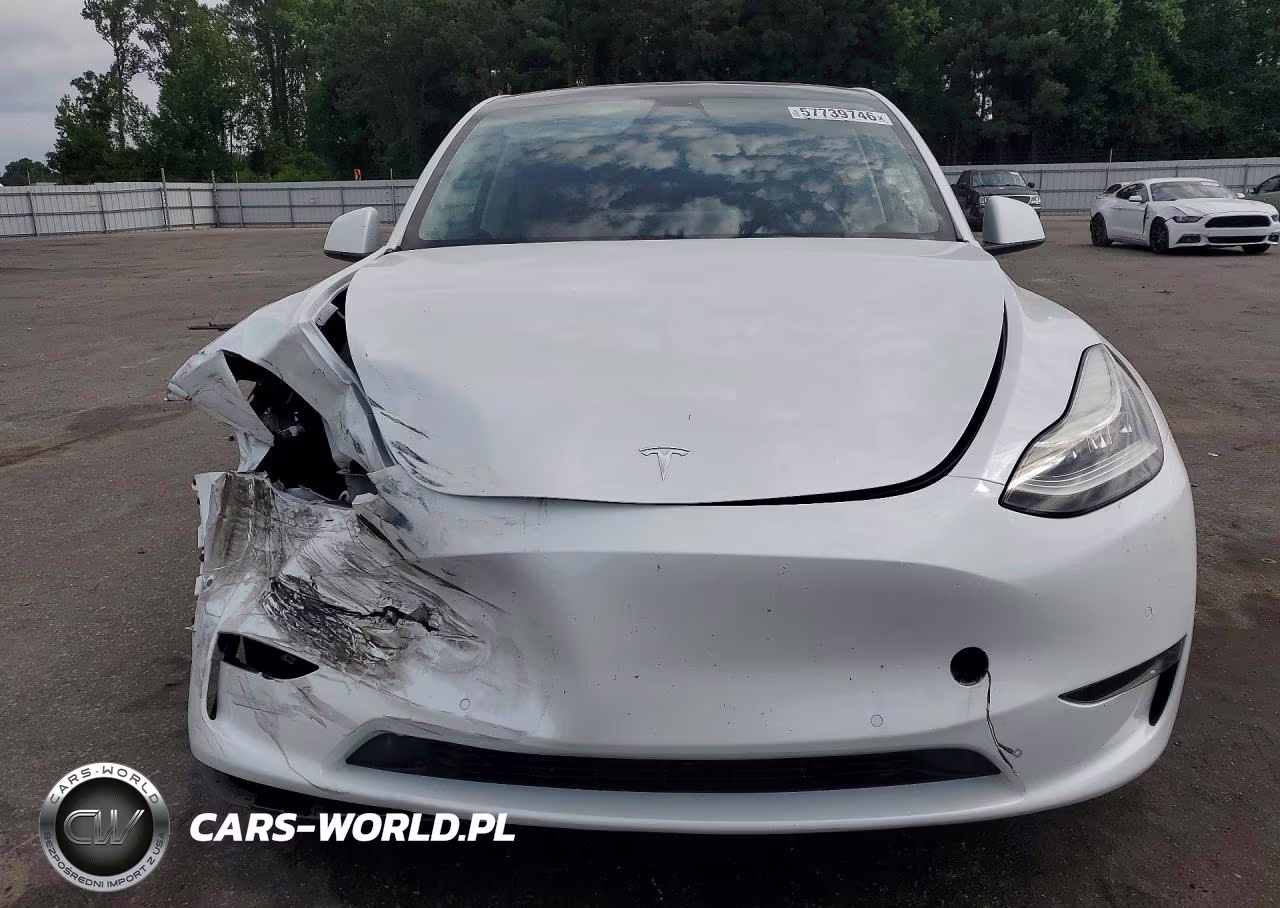 2022 Tesla Model Y VIN:7SAYGDEE9NF385581 - 5