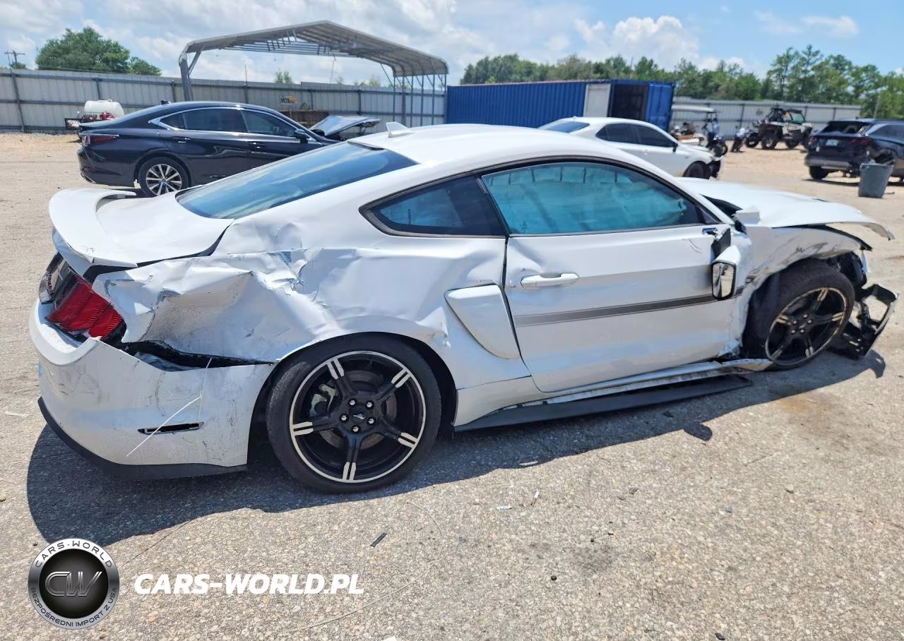 2021 Ford Mustang Gt VIN:1FA6P8CF8M5133754 - 3
