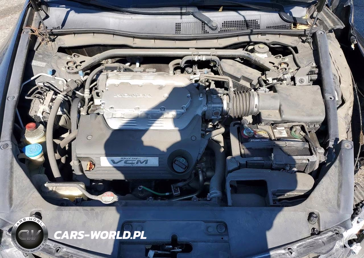 2009 Honda Accord Exl VIN:1HGCS22889A009768 - 11