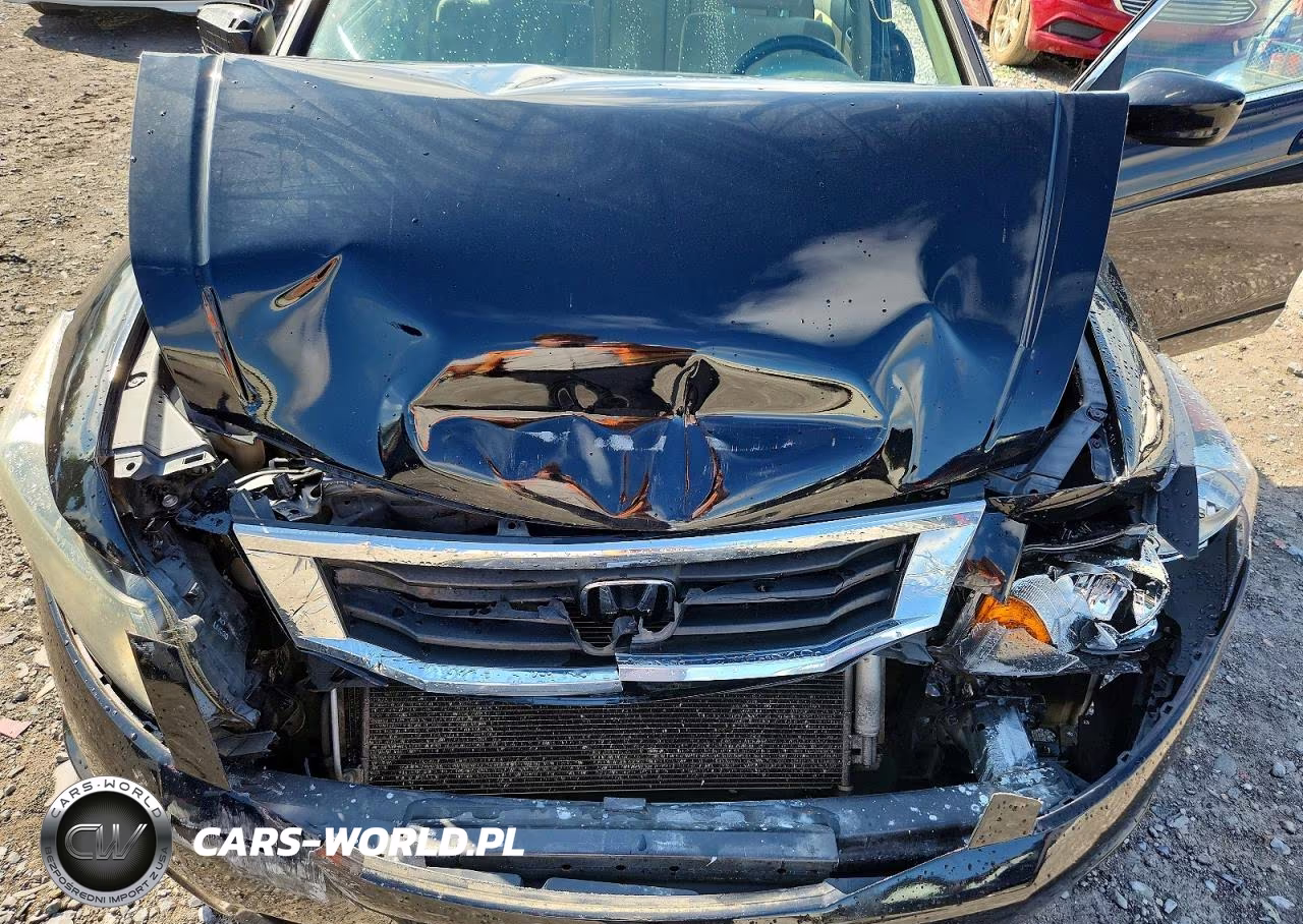 2010 Honda Accord Lx VIN:1HGCP2F33AA121513 - 11