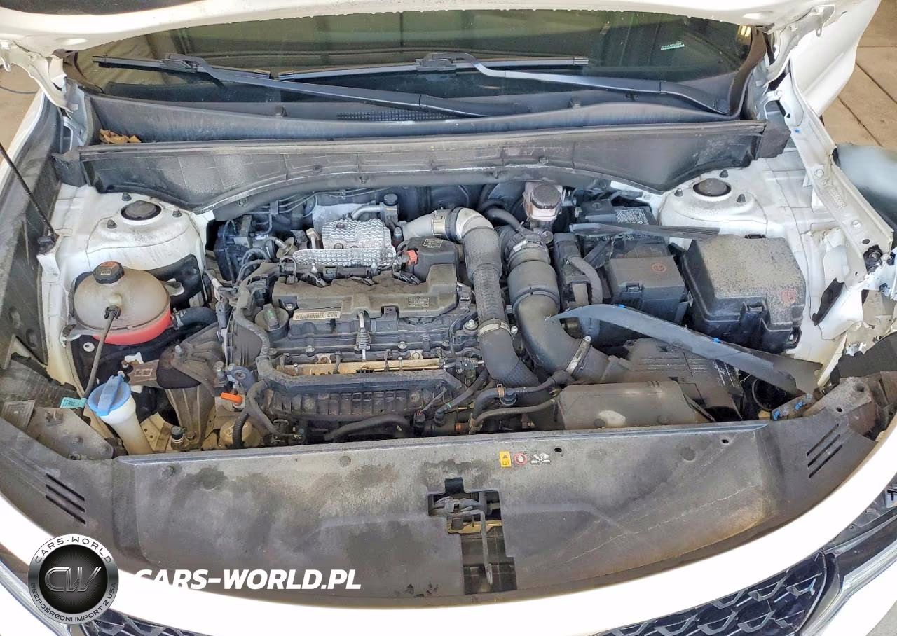 2023 Kia Sorento Sx VIN:5XYRKDLF6PG165094 - 12