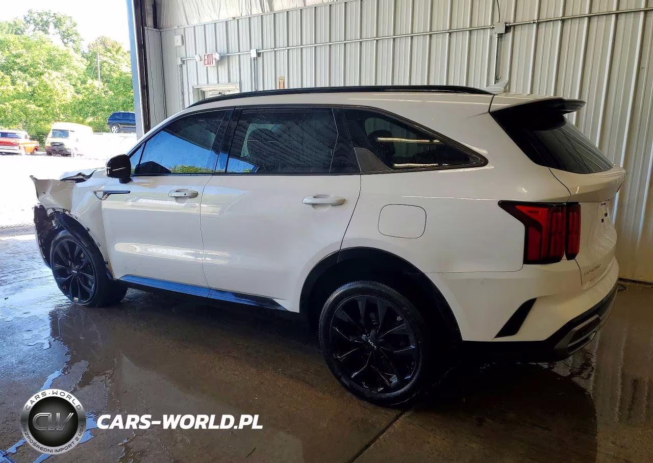 2023 Kia Sorento Sx VIN:5XYRKDLF6PG165094 - 2