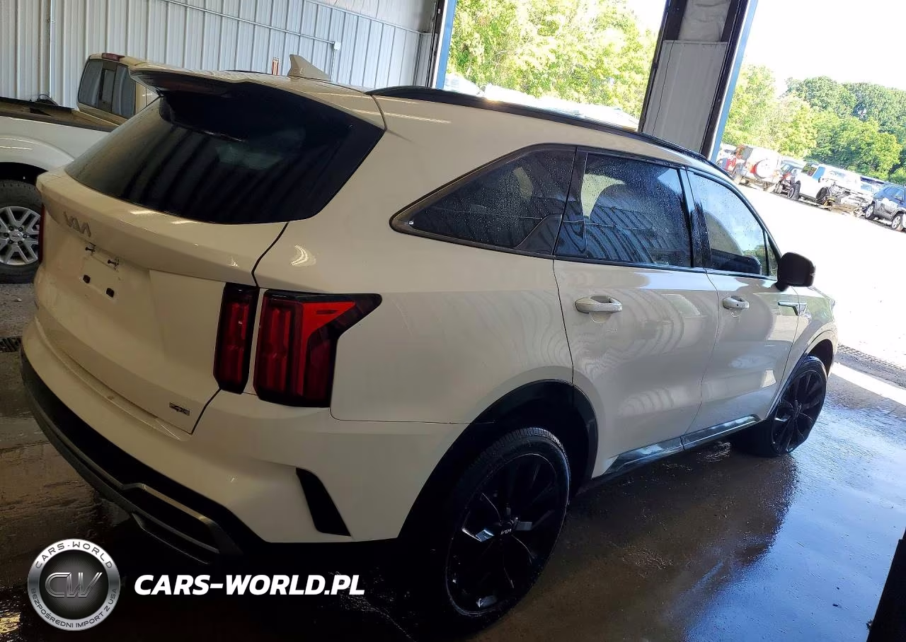 2023 Kia Sorento Sx VIN:5XYRKDLF6PG165094 - 3