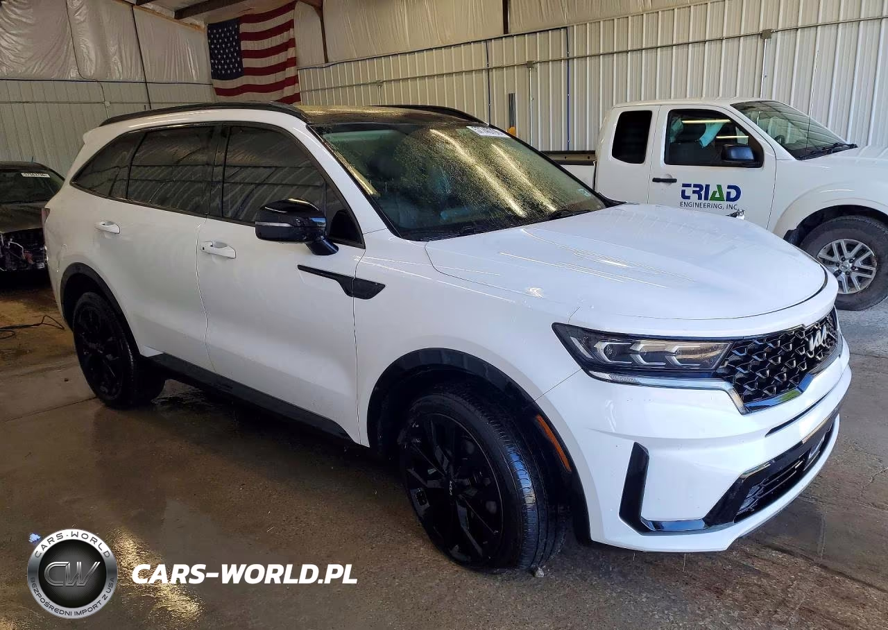 2023 Kia Sorento Sx VIN:5XYRKDLF6PG165094 - 4