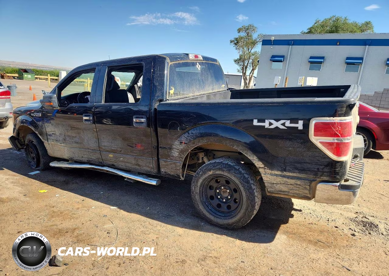 2011 Ford F150 Supercrew VIN:1FTFW1EFXBFC19317 - 2