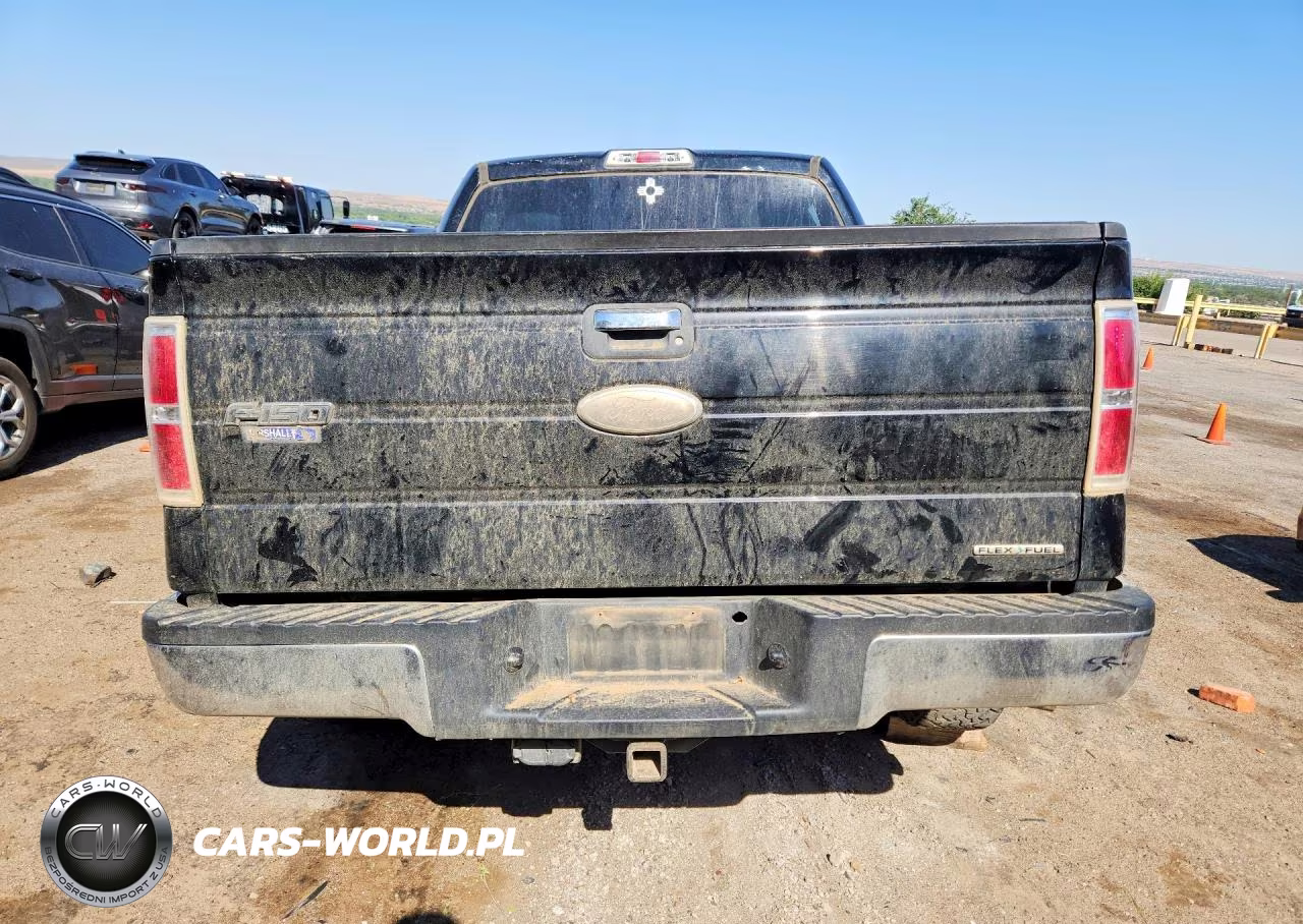2011 Ford F150 Supercrew VIN:1FTFW1EFXBFC19317 - 6