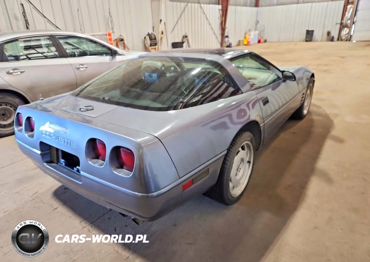 1991 Chevrolet Corvette VIN:1G1YY2383M5112947 - 3