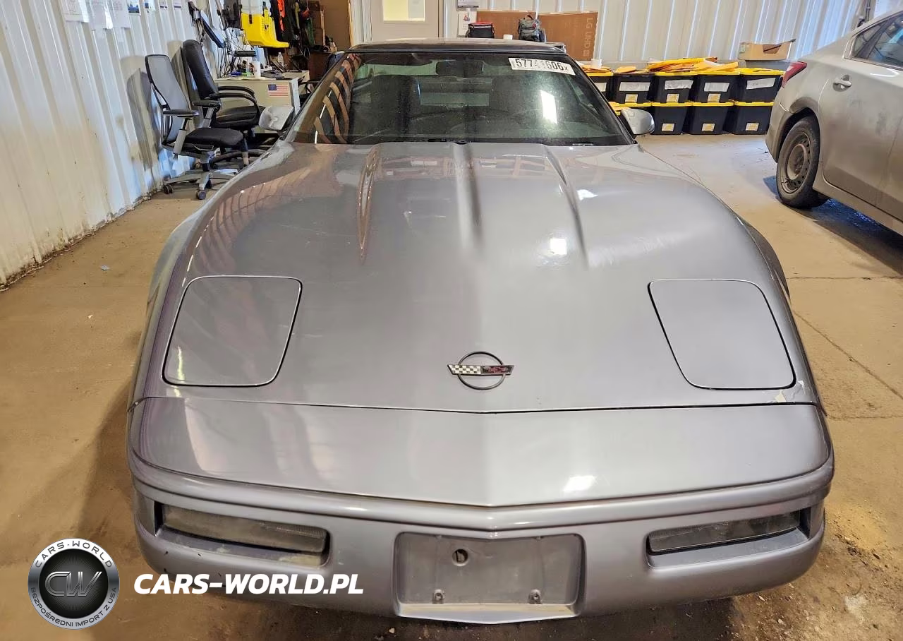 1991 Chevrolet Corvette VIN:1G1YY2383M5112947 - 5