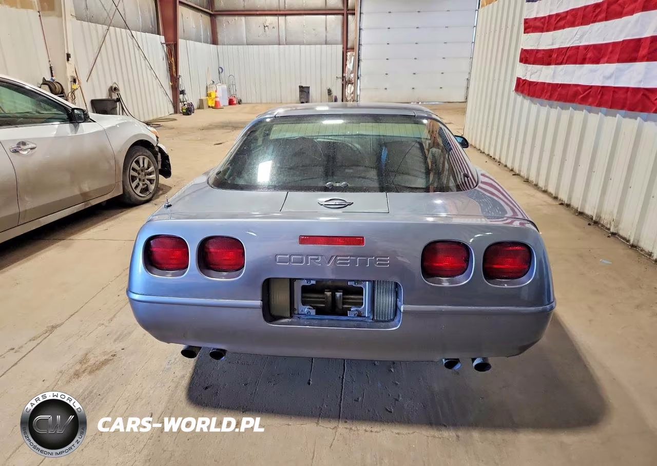 1991 Chevrolet Corvette VIN:1G1YY2383M5112947 - 6