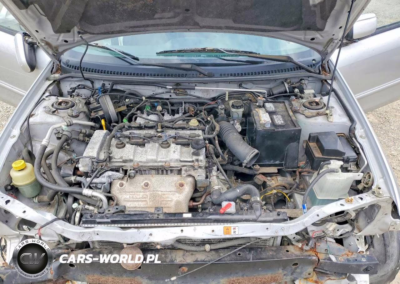 2003 Mazda Protege Pr5 VIN:JM1BJ245231220312 - 11