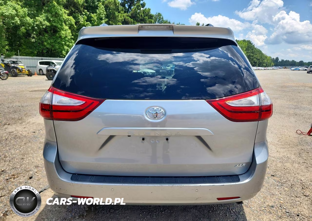 2019 Toyota Sienna Xle 8-Passenger VIN:5TDYZ3DCXKS977659 - 6