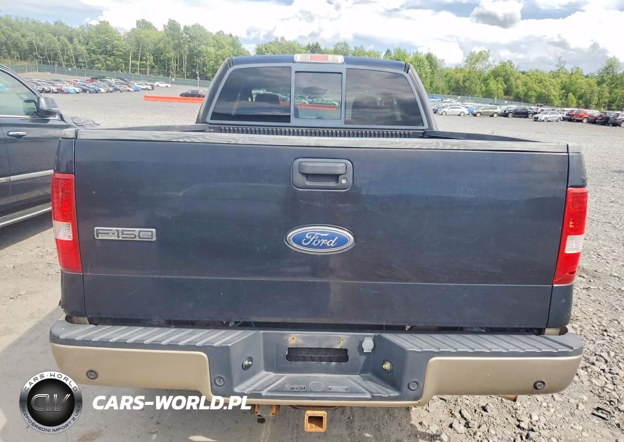 2005 Ford F150 VIN:1FTPX14535NA30738 - 6