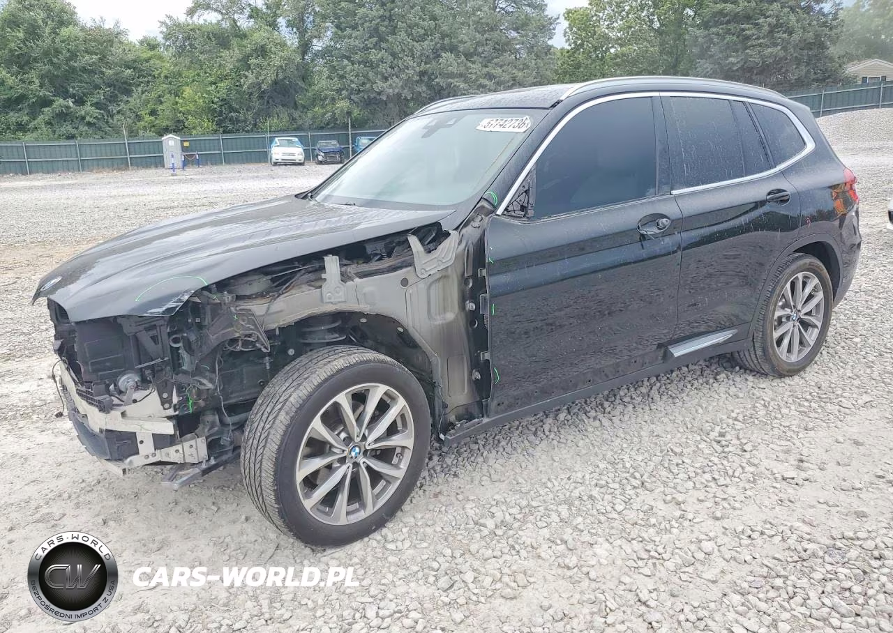 2019 BMW X3 Sdrive30I VIN:5UXTR7C53KLR53045 - 1