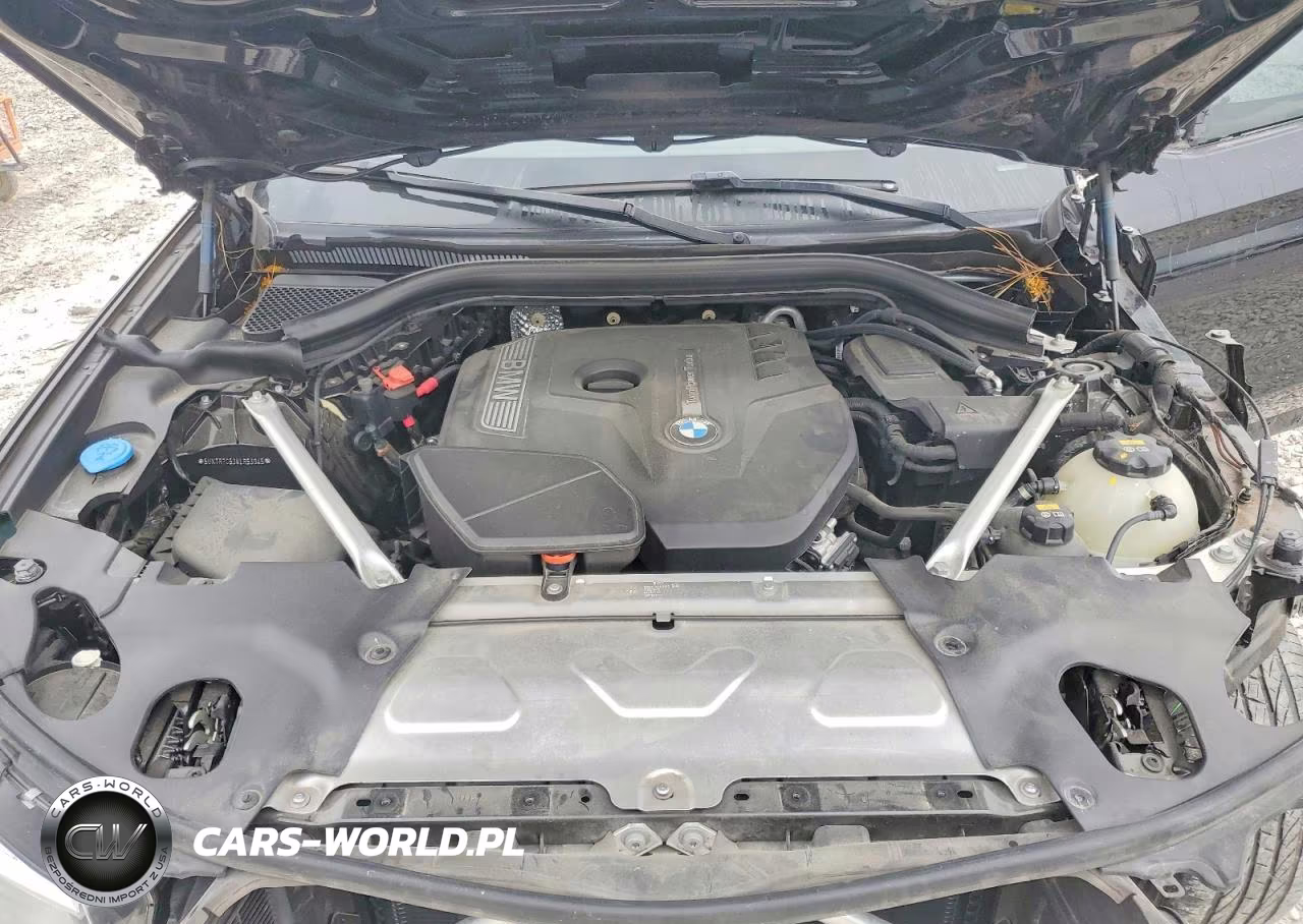 2019 BMW X3 Sdrive30I VIN:5UXTR7C53KLR53045 - 12