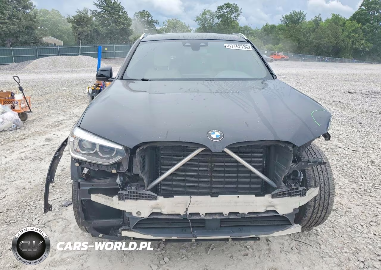 2019 BMW X3 Sdrive30I VIN:5UXTR7C53KLR53045 - 5