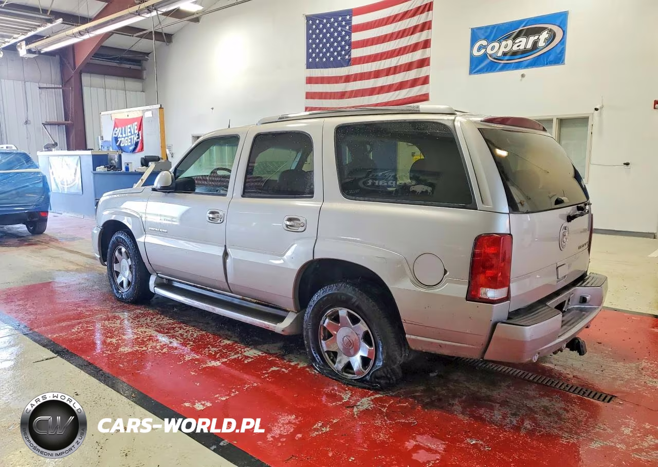 2005 Cadillac Escalade Luxury VIN:1GYEK63N45R191865 - 2