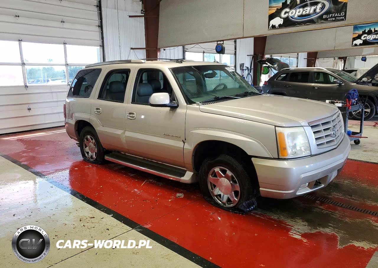 2005 Cadillac Escalade Luxury VIN:1GYEK63N45R191865 - 4