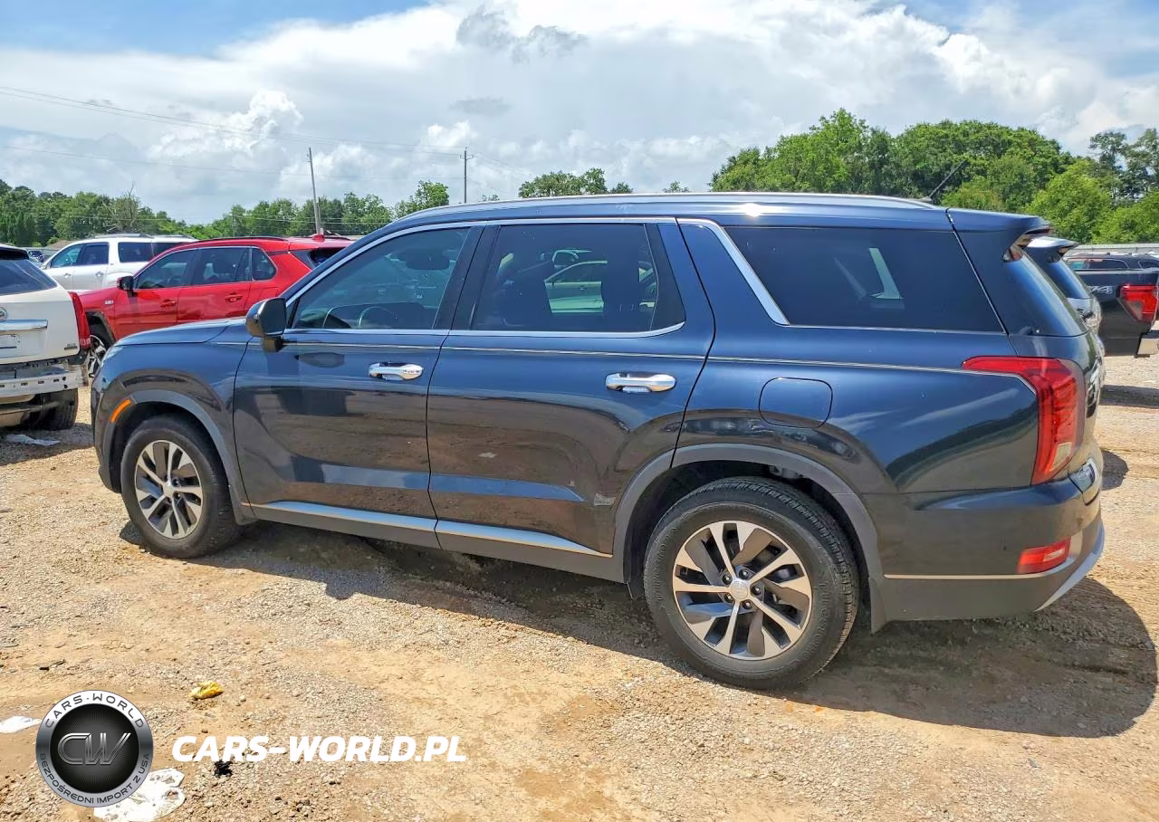 2020 Hyundai Palisade Sel VIN:KM8R24HE5LU155659 - 2
