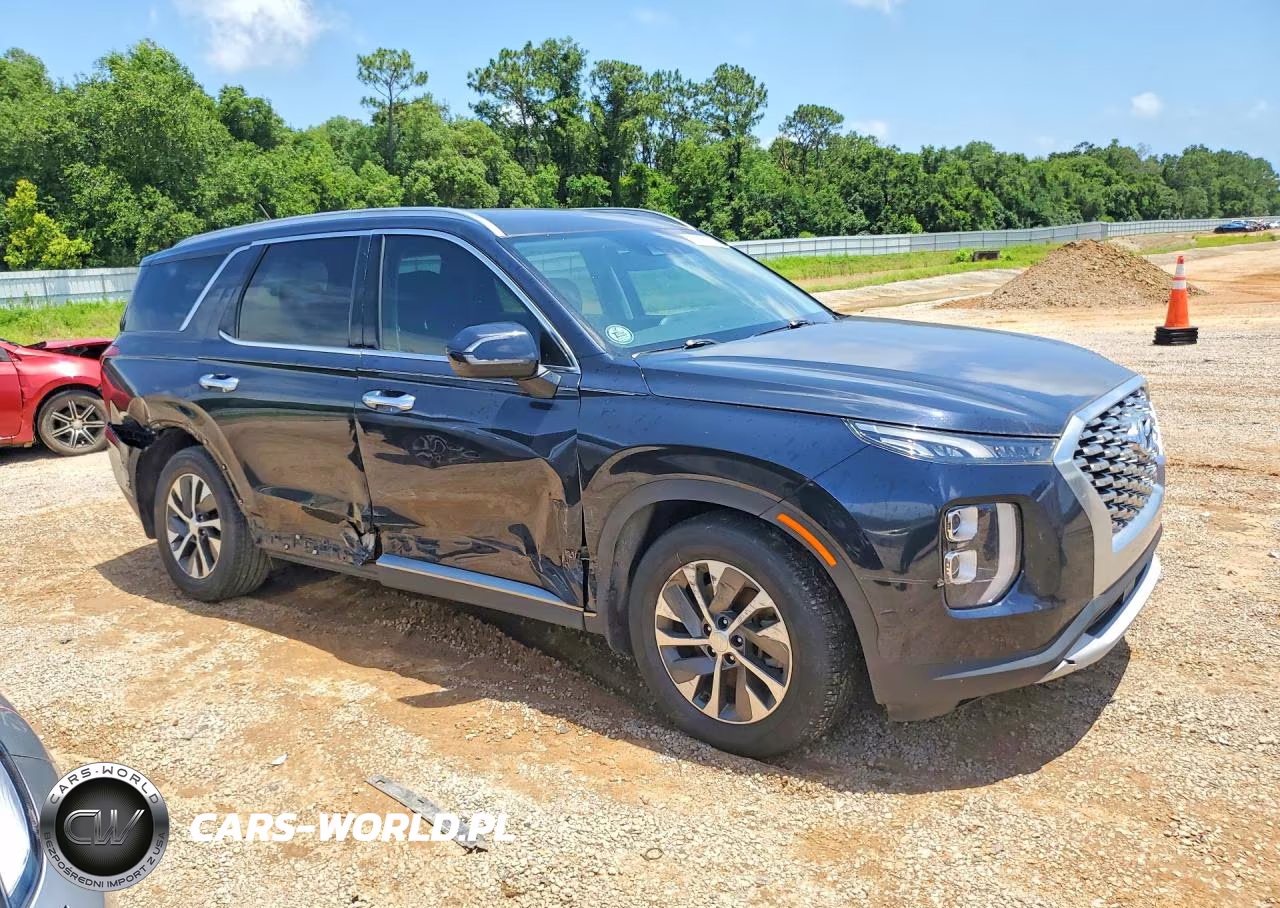 2020 Hyundai Palisade Sel VIN:KM8R24HE5LU155659 - 4