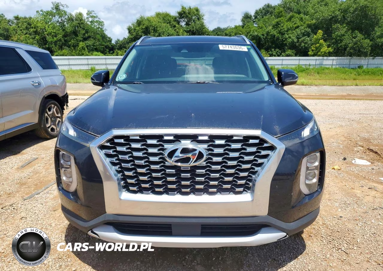 2020 Hyundai Palisade Sel VIN:KM8R24HE5LU155659 - 5