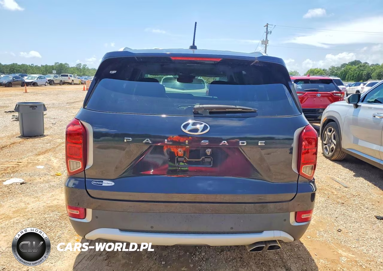 2020 Hyundai Palisade Sel VIN:KM8R24HE5LU155659 - 6