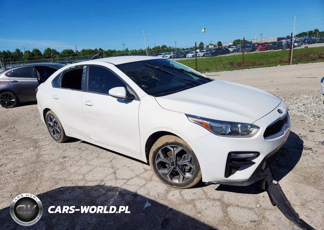 2020 Kia Forte Lxs VIN:3KPF24AD2LE262403 - 4