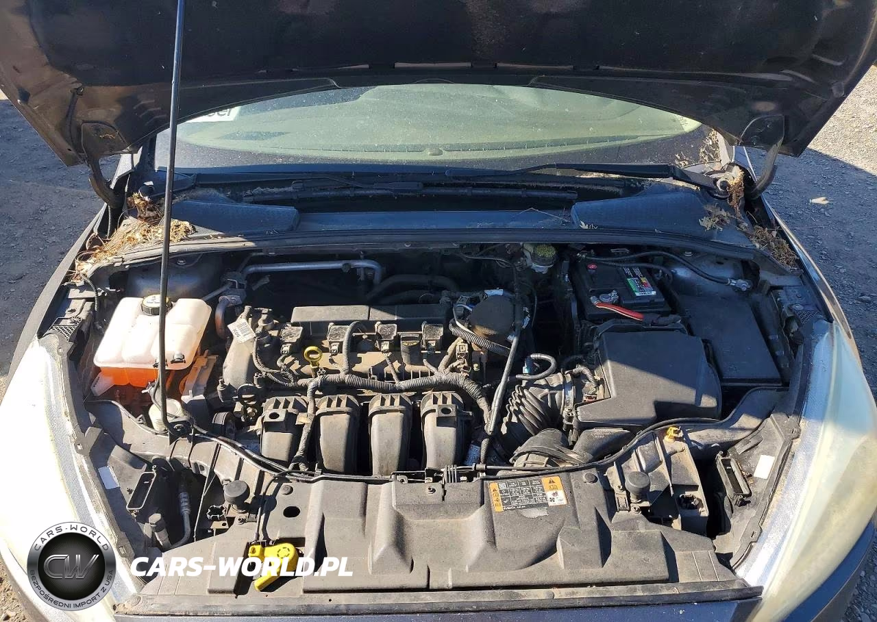 2015 Ford Focus Se VIN:1FADP3F25FL358103 - 11