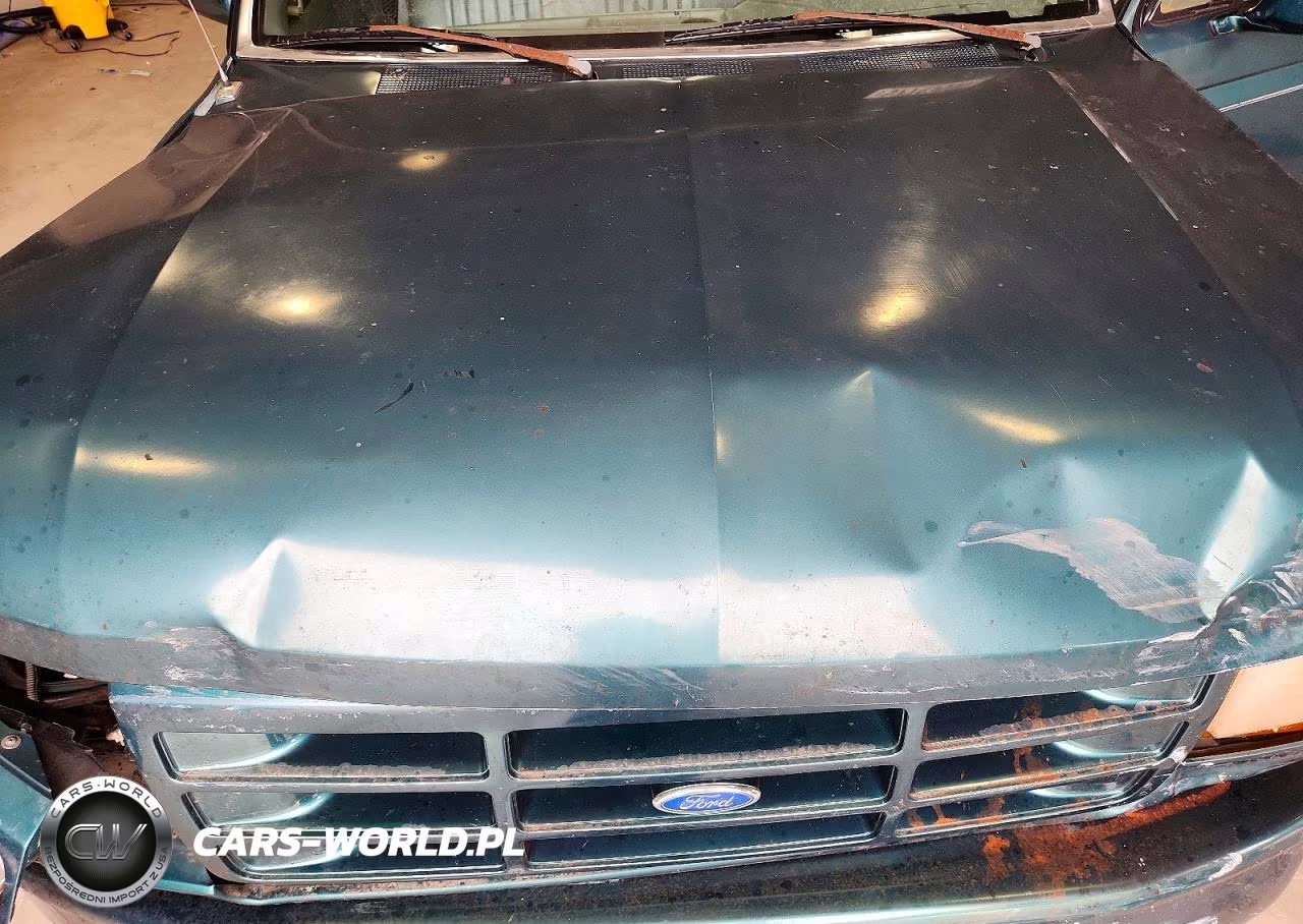 1996 Ford F150 VIN:1FTEF15Y7TLB92822 - 11