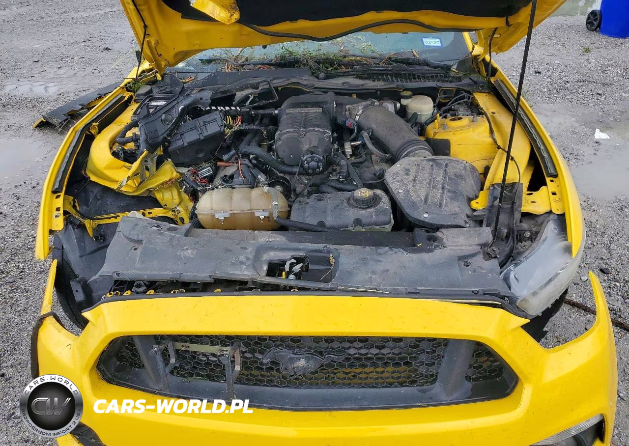 2016 Ford Mustang Gt VIN:1FA6P8CF9G5283795 - 11