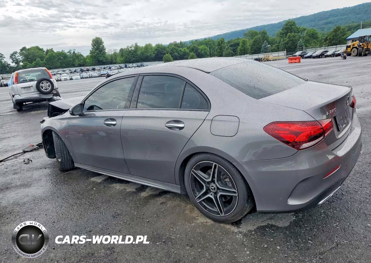 2019 Mercedes-Benz A 220 4Matic VIN:WDD3G4FB3KW032195 - 2