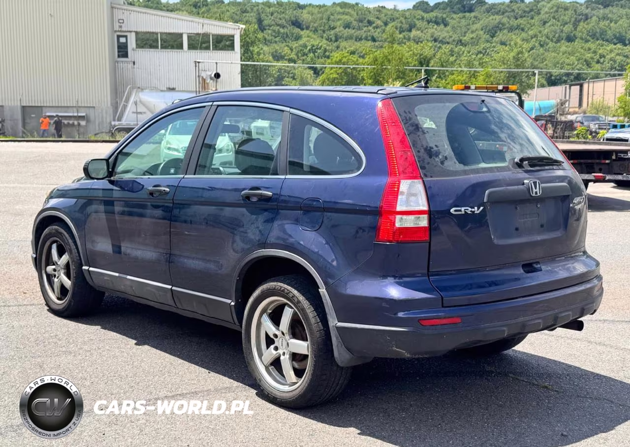 2010 Honda Cr-V Lx VIN:5J6RE4H39AL025584 - 3