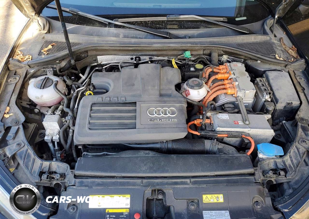 2016 Audi A3 E-Tron Premium Ultra VIN:WAUVPBFF6GA092824 - 11