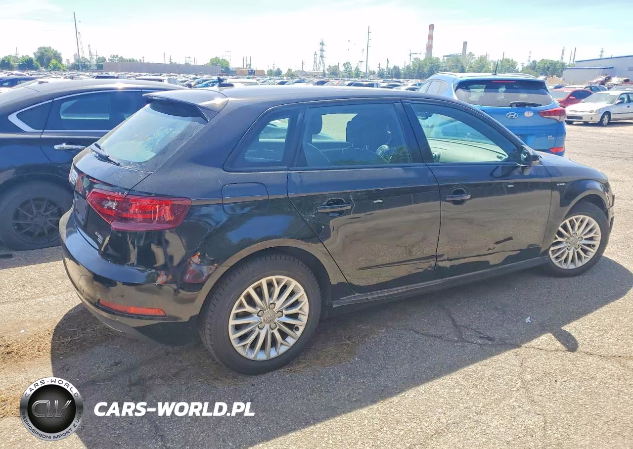2016 Audi A3 E-Tron Premium Ultra VIN:WAUVPBFF6GA092824 - 3